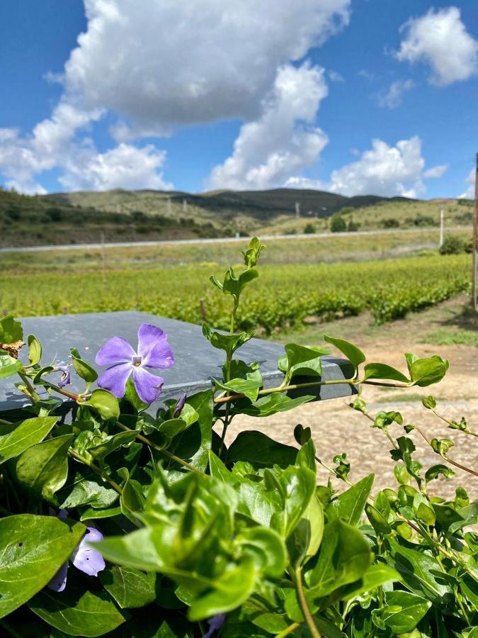 Quinta Do Chao D'Ordem Villa Vila Nova de Fozcoa Luaran gambar