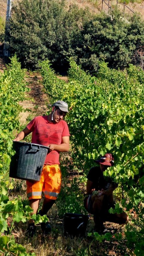 Quinta Do Chao D'Ordem Villa Vila Nova de Fozcoa Luaran gambar